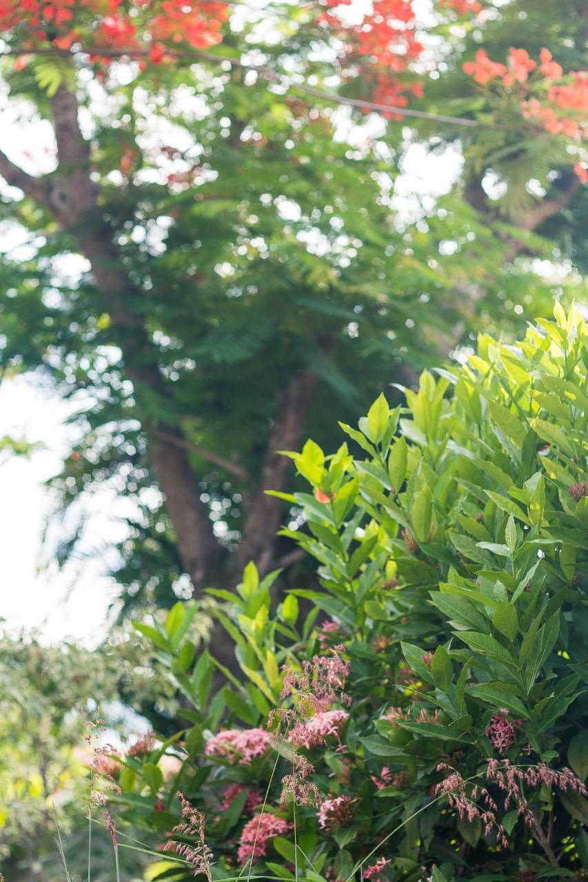 Pousada Solar Tropical Saquarema Ngoại thất bức ảnh